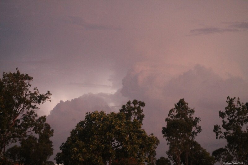 Storm Clouds over Trees — Purple