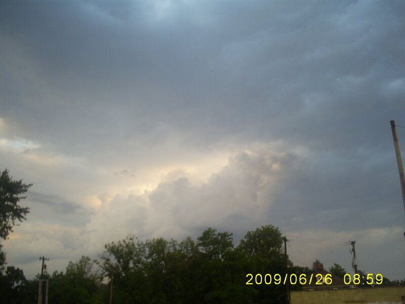 storm clouds over trees