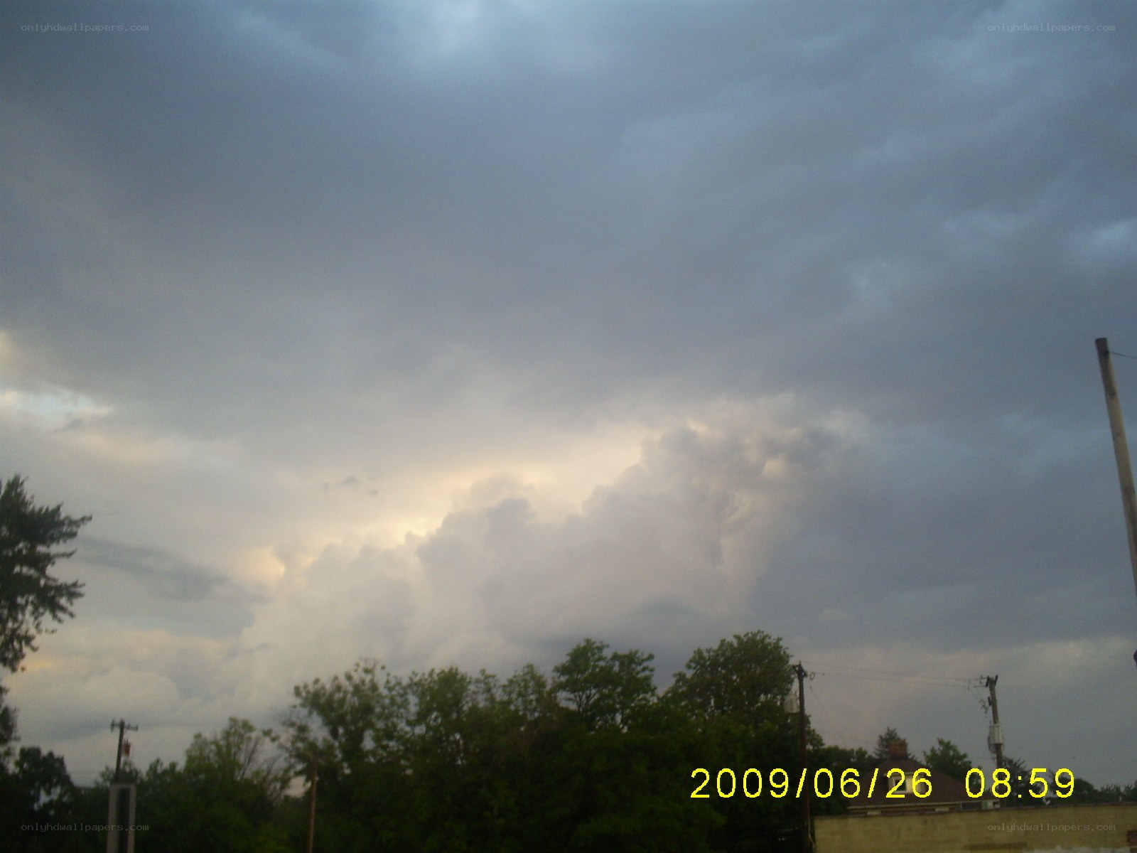 storm clouds over trees