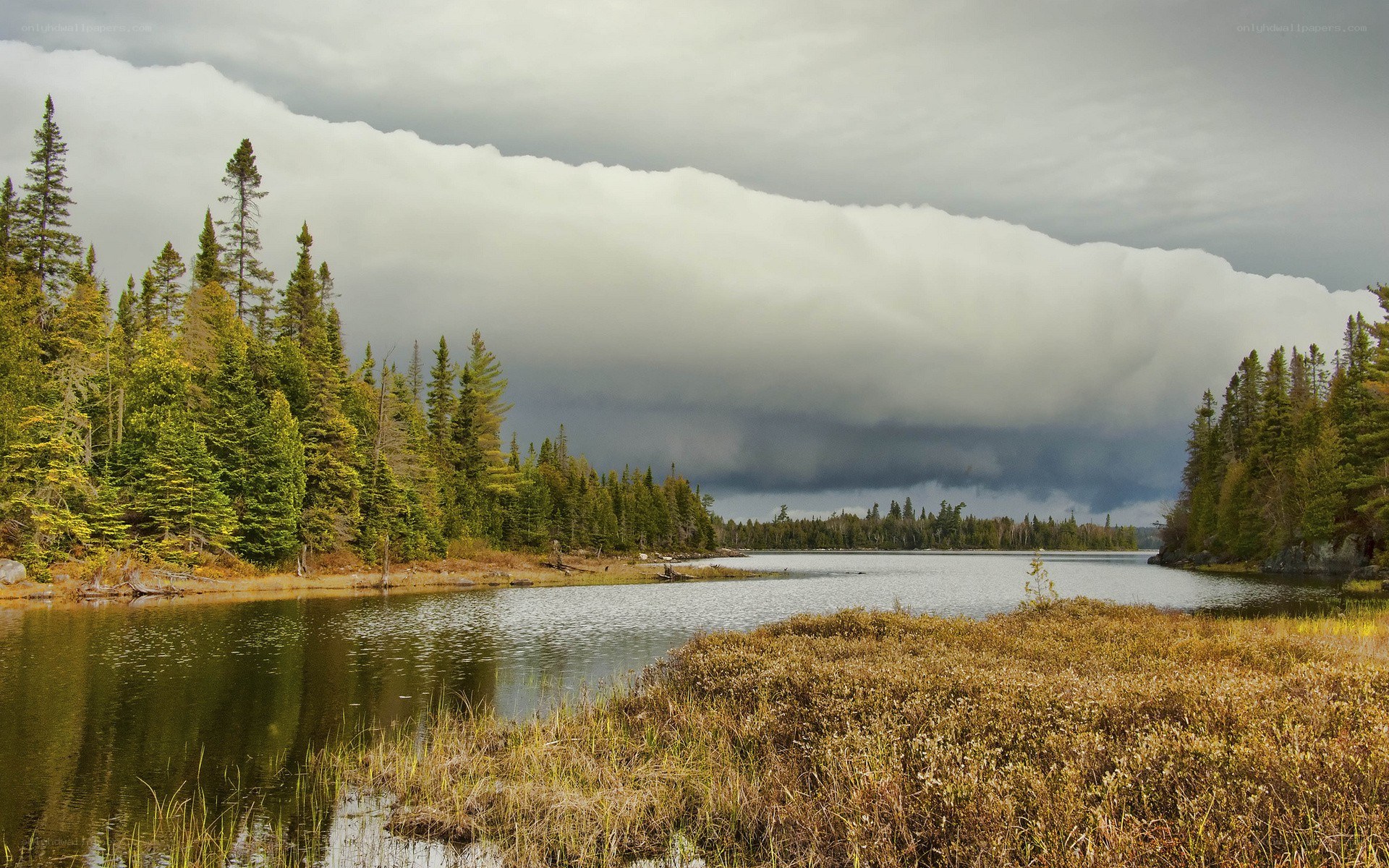 Storm over a forest lake