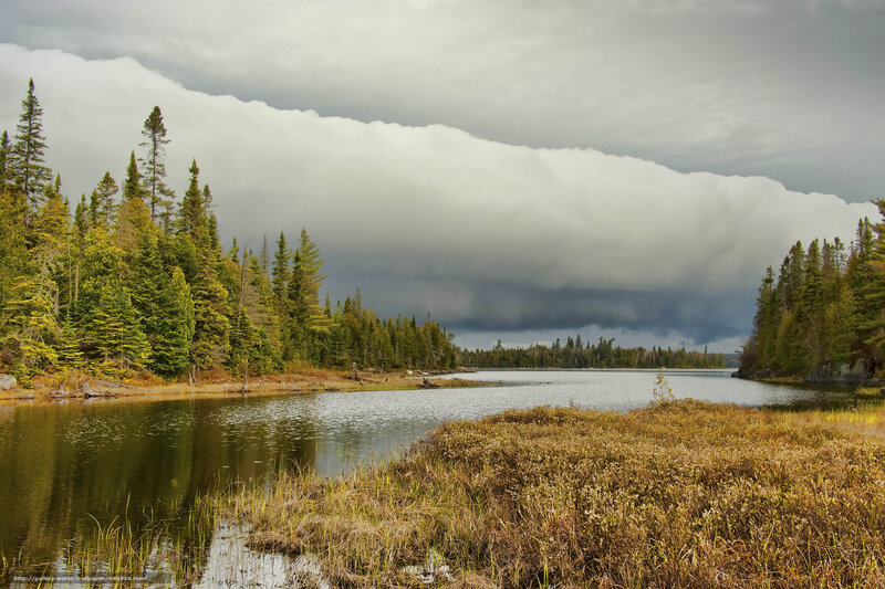 Storm over a forest lake