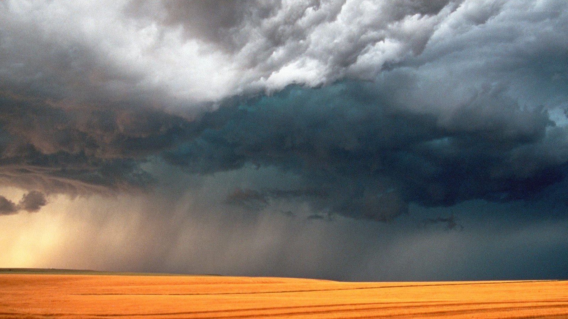 Storm over a golden field