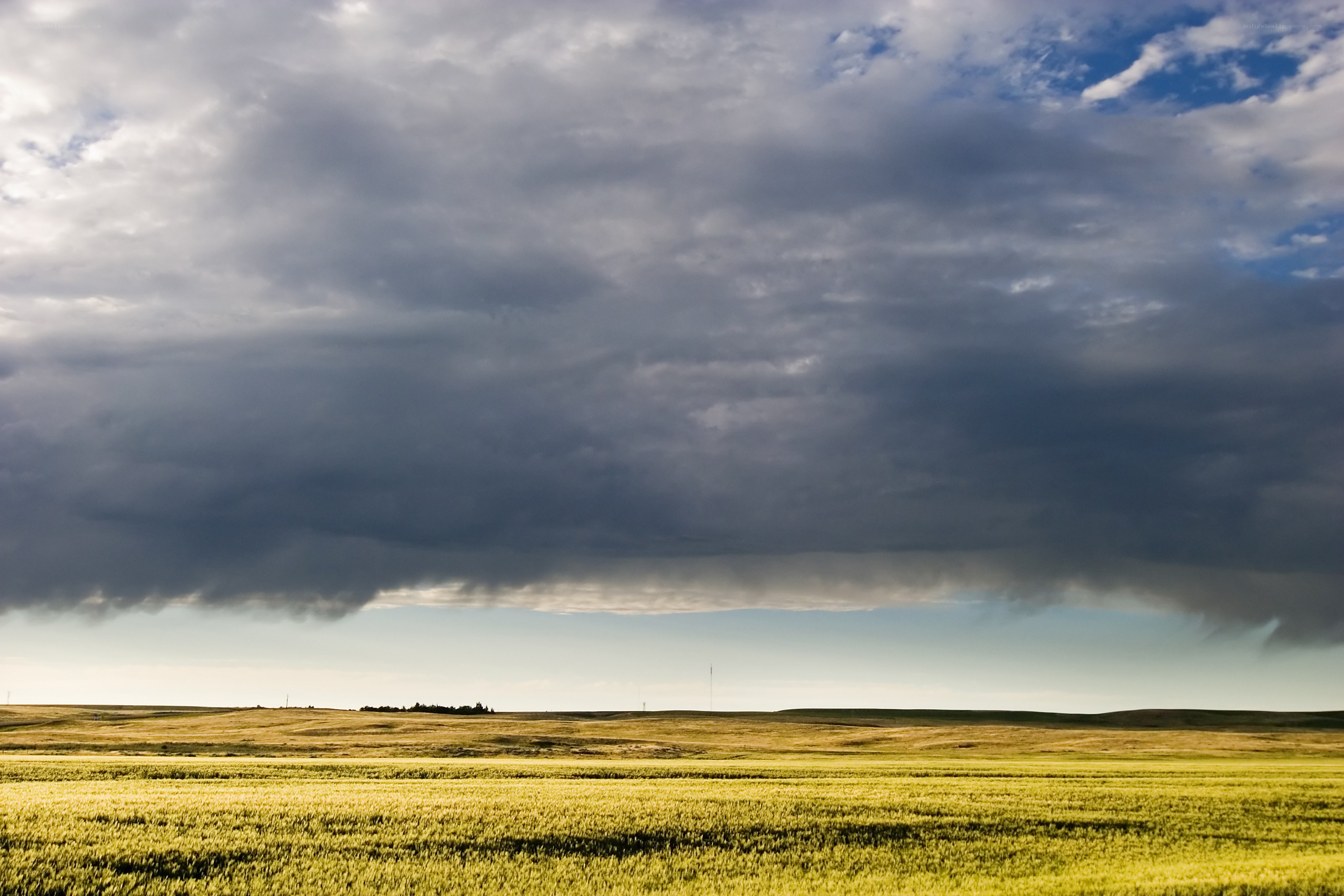 Storm over a golden field