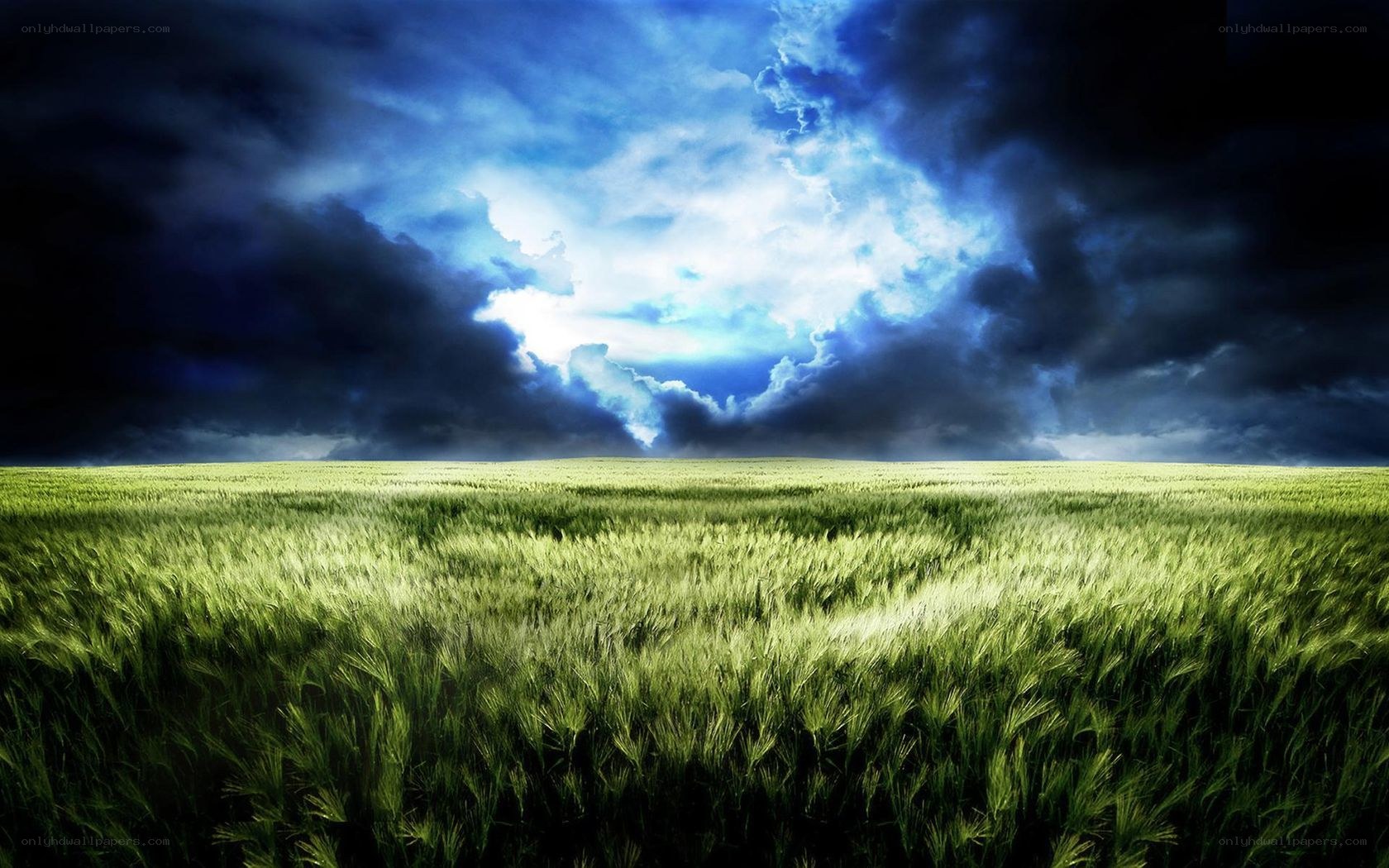 Storm over a green field