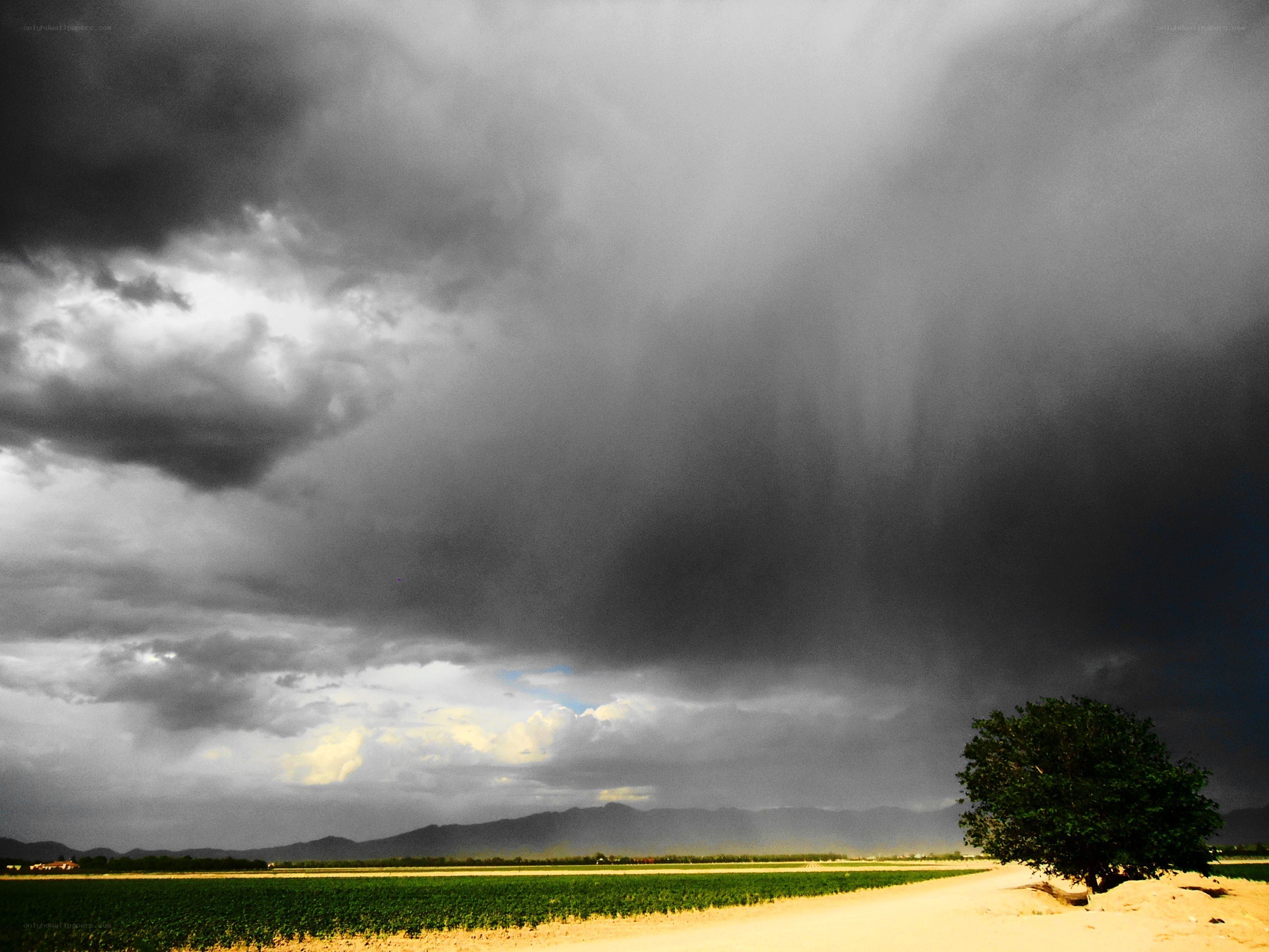 Storm over a green field
