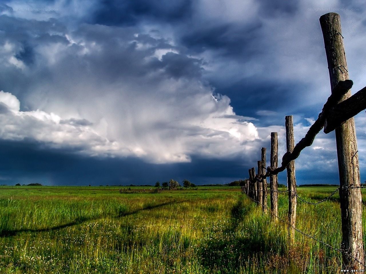 Storm over a green field