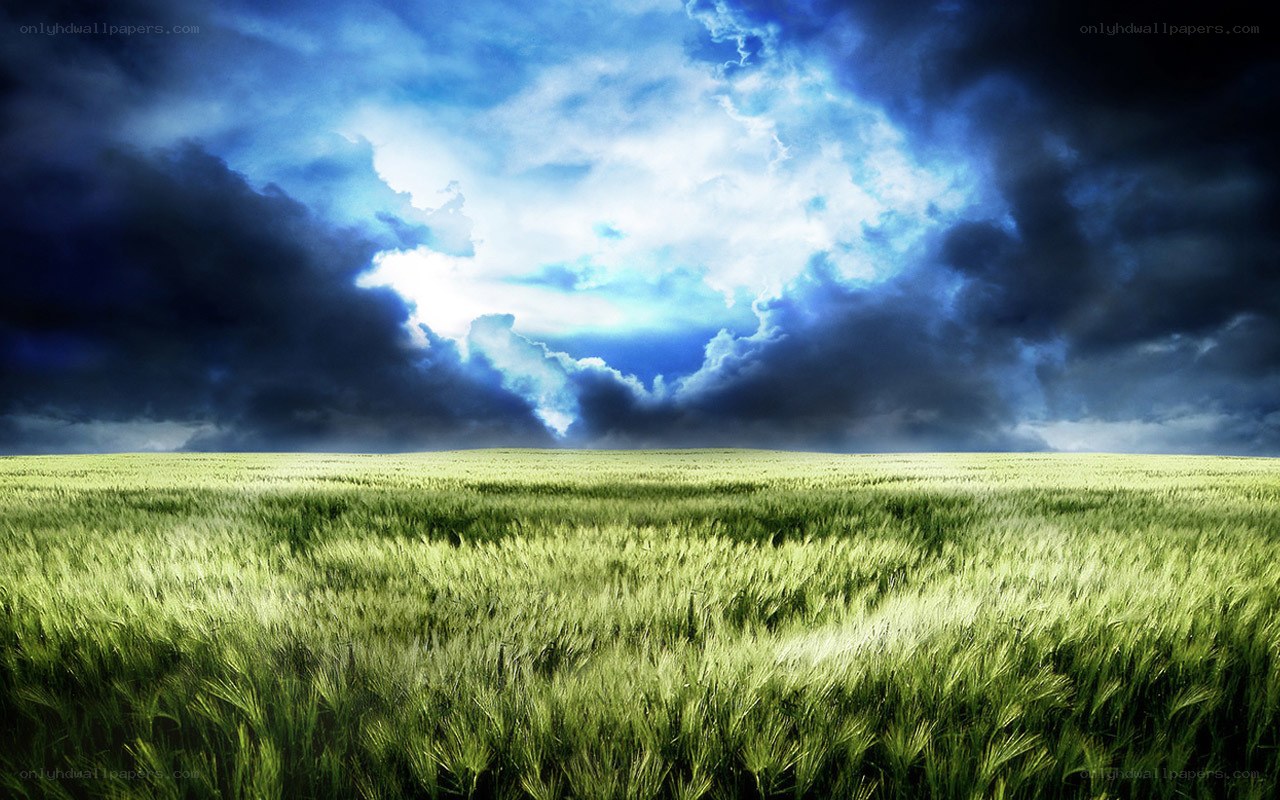 Storm over a green field