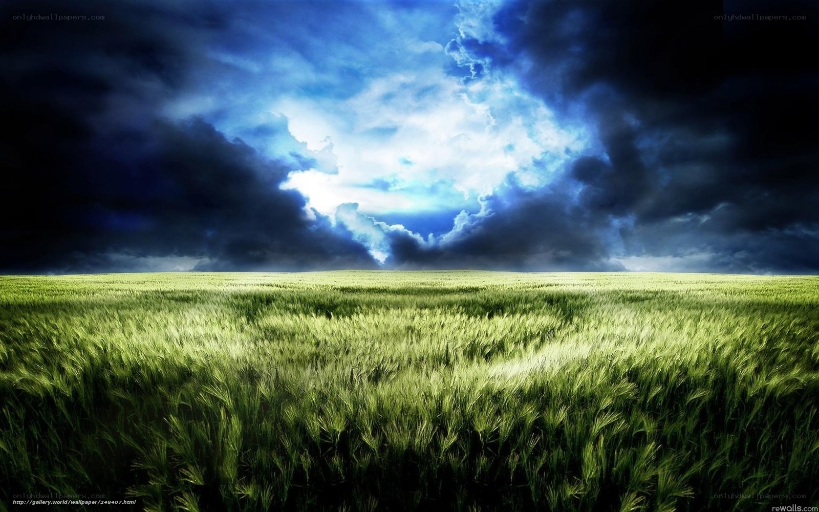 Storm over a green field