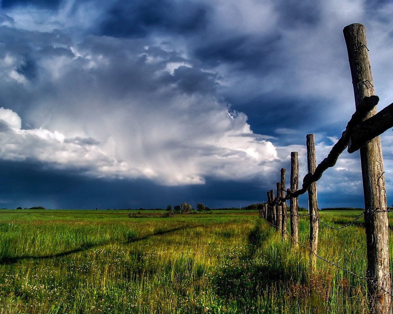 Storm over a green field