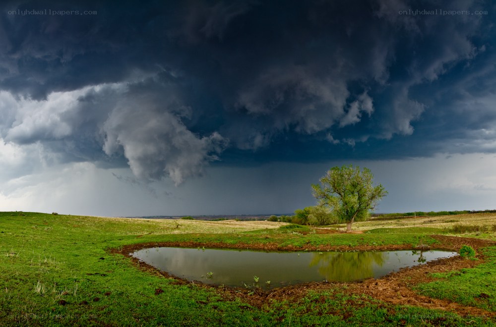 Storm over a lone tree pond