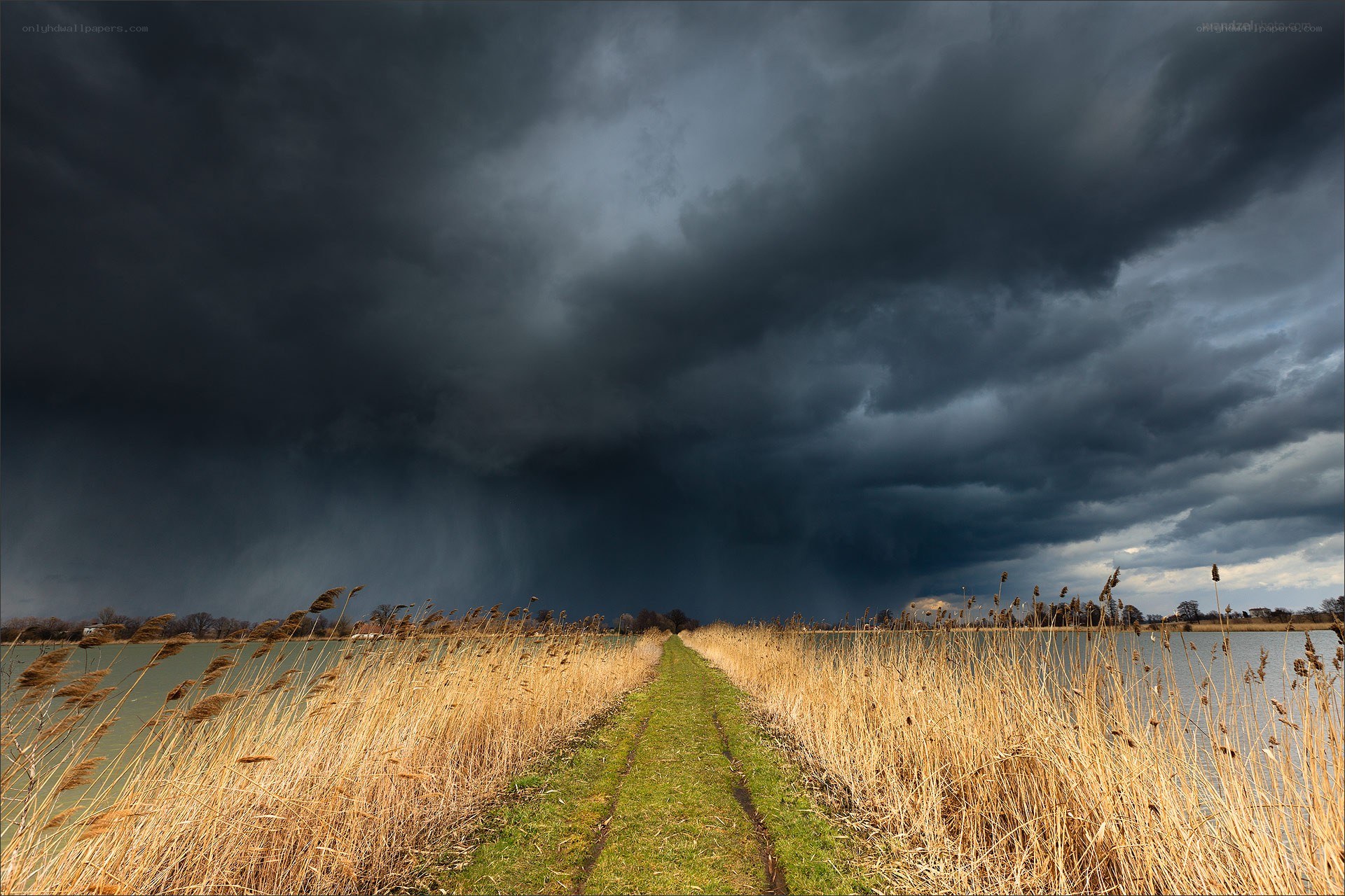 Storm over a marsh path