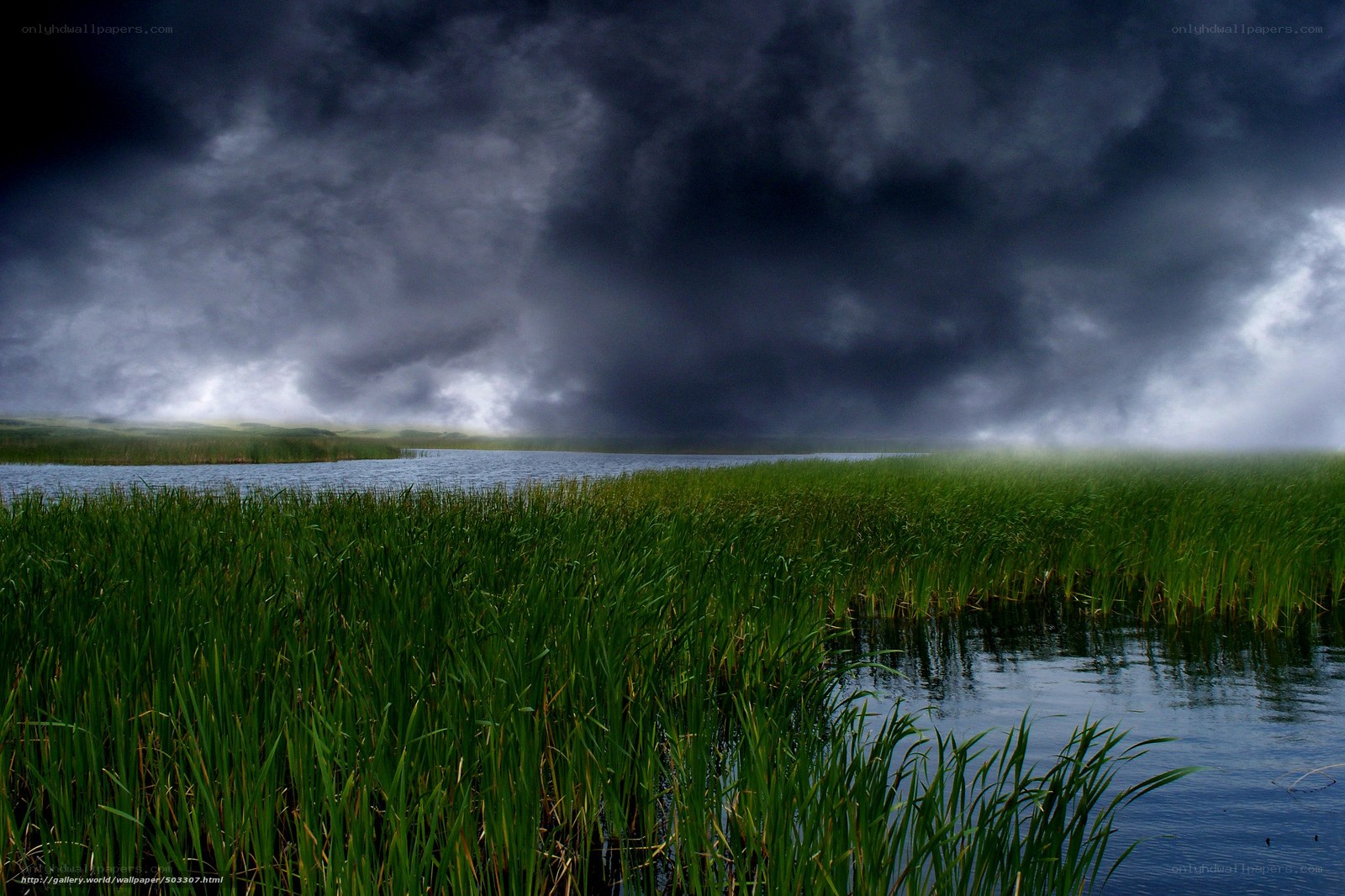 Storm over a marshy lake