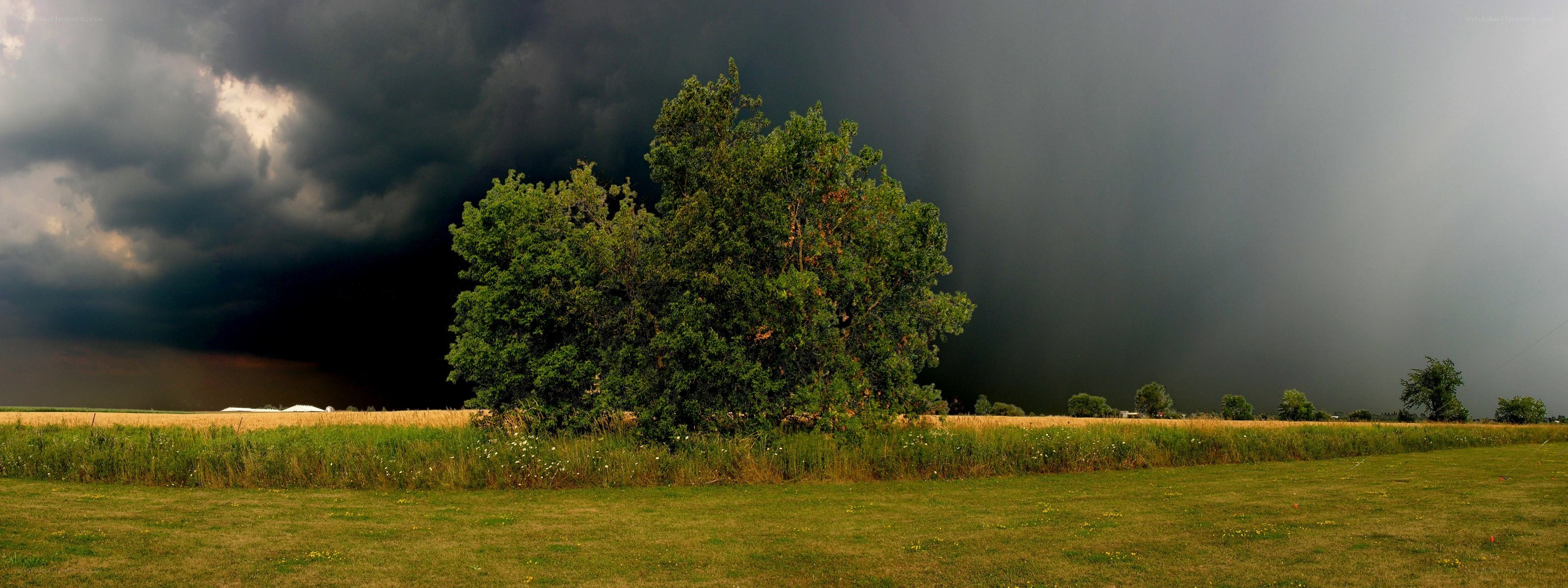 Storm over a rural field