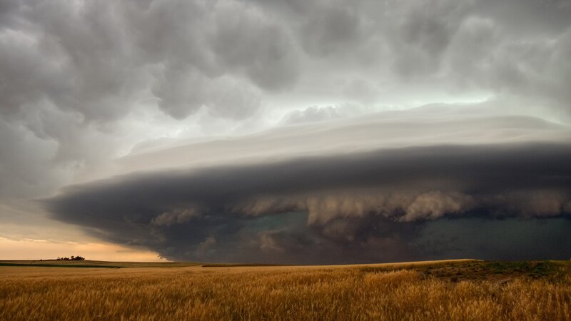 Storm over a wheat field
