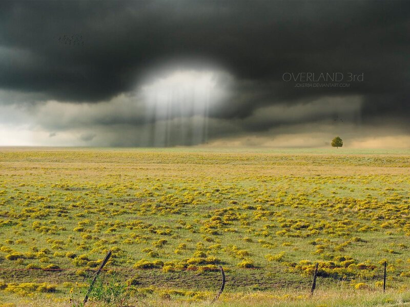 Storm over a yellow field