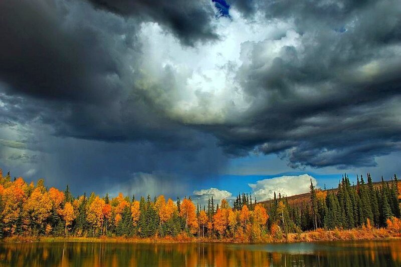 Storm over autumn forest lake