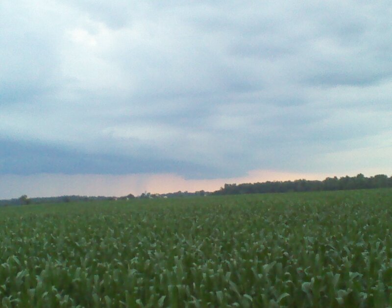 storm over cornfield