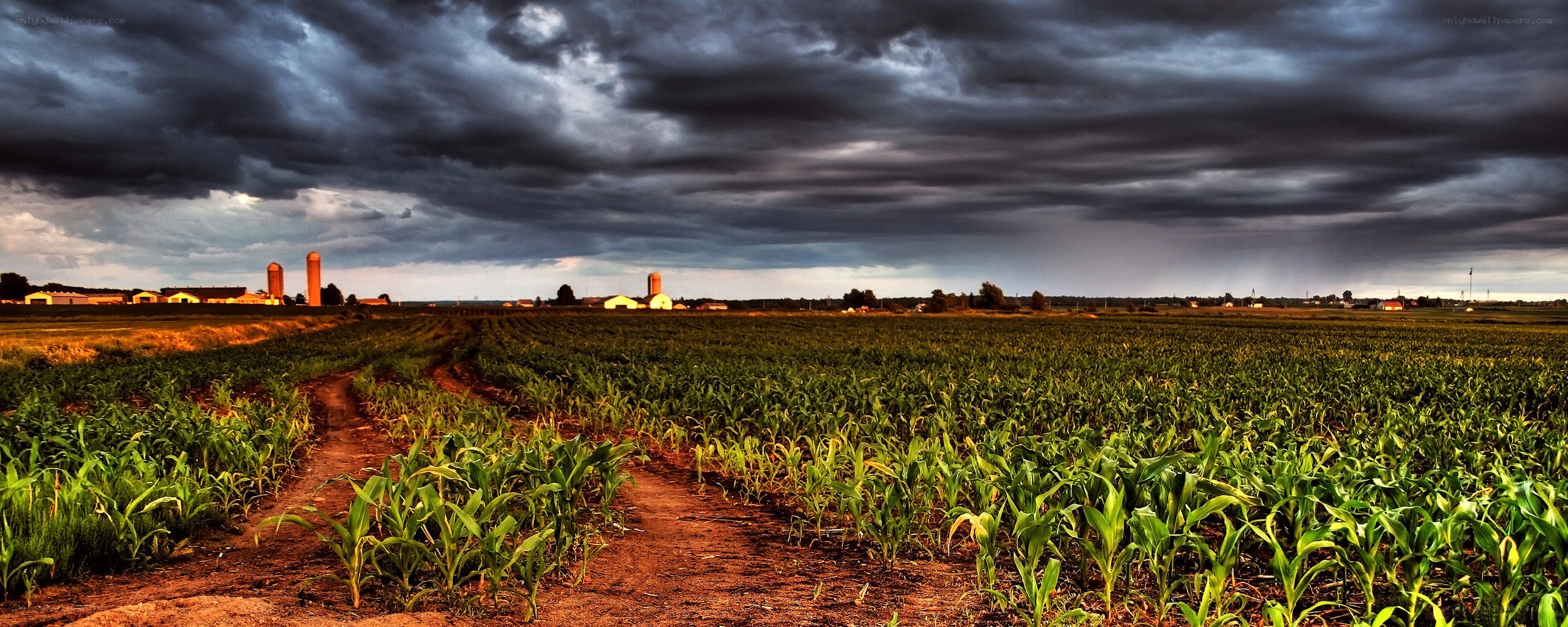 Storm over Cornfield Farm