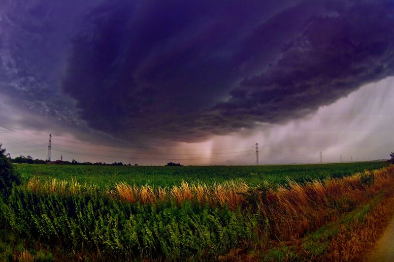 Storm over Cornfield — Purple