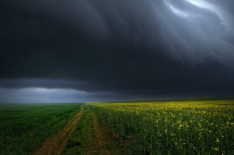 Storm over Fields