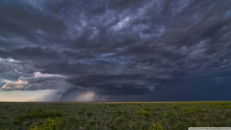 Storm over Grassland — Gray
