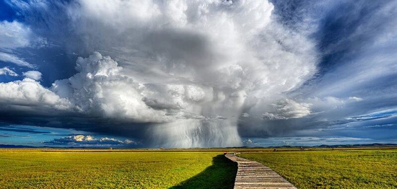 Storm over Grassland — Green