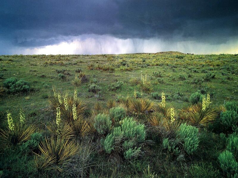 Storm over grassland