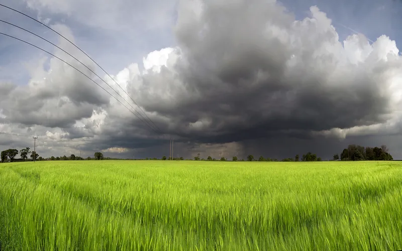 Storm over green field