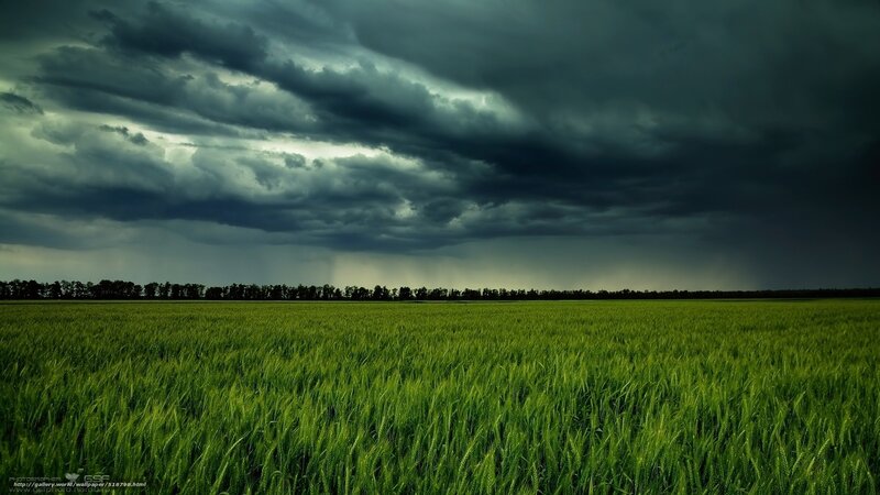 Storm over green field