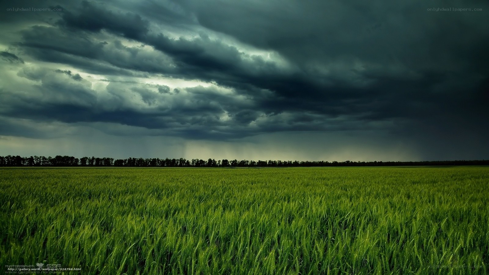 Storm over green field