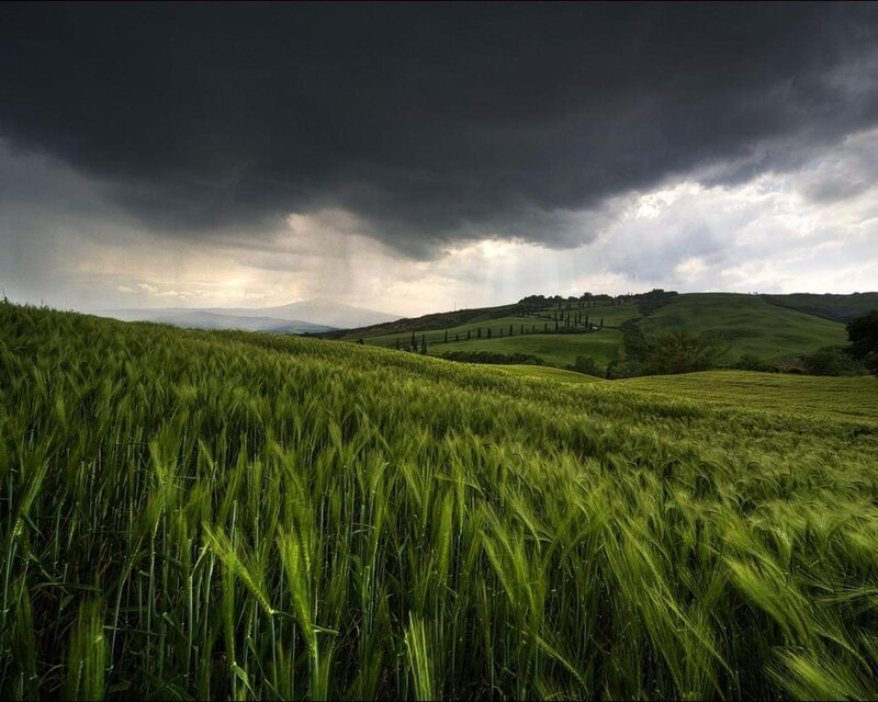 Storm over green fields