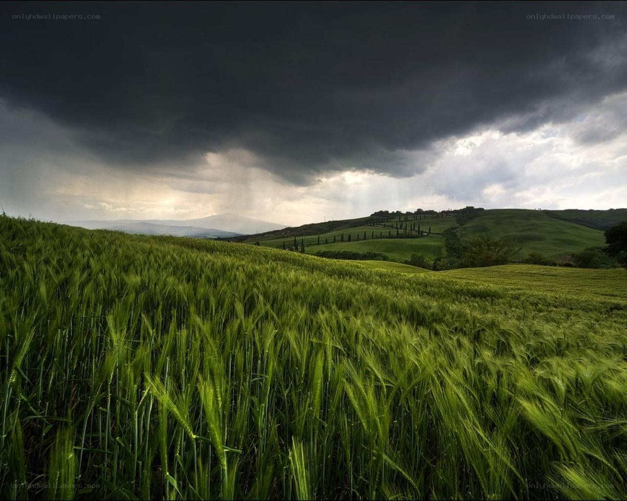Storm over green fields