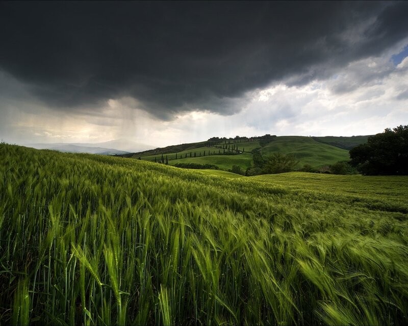 Storm over green hills