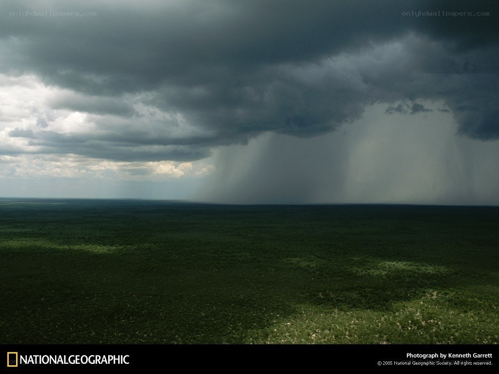 Storm over the savanna