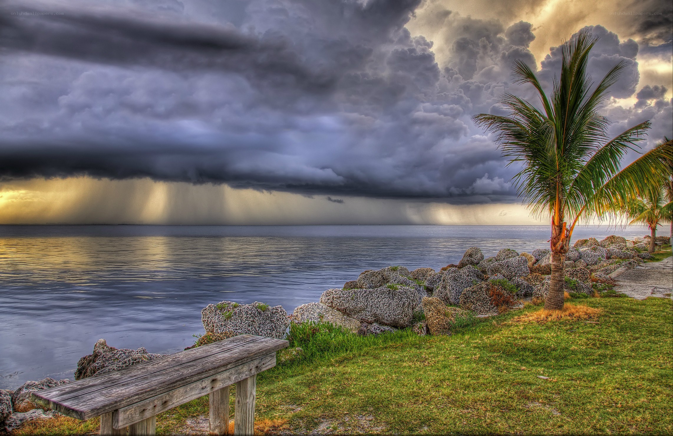 Storm over tropical coast