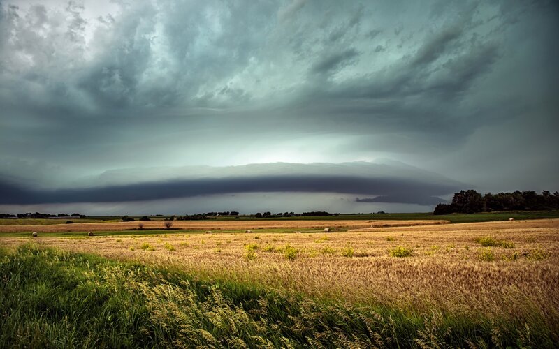 Storm over Wheat Field — Gray
