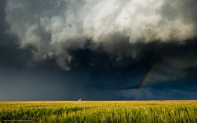 Storm over Wheat Field — Green, Dramatic