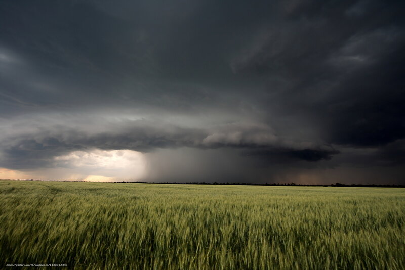 Storm over Wheat Field — Green