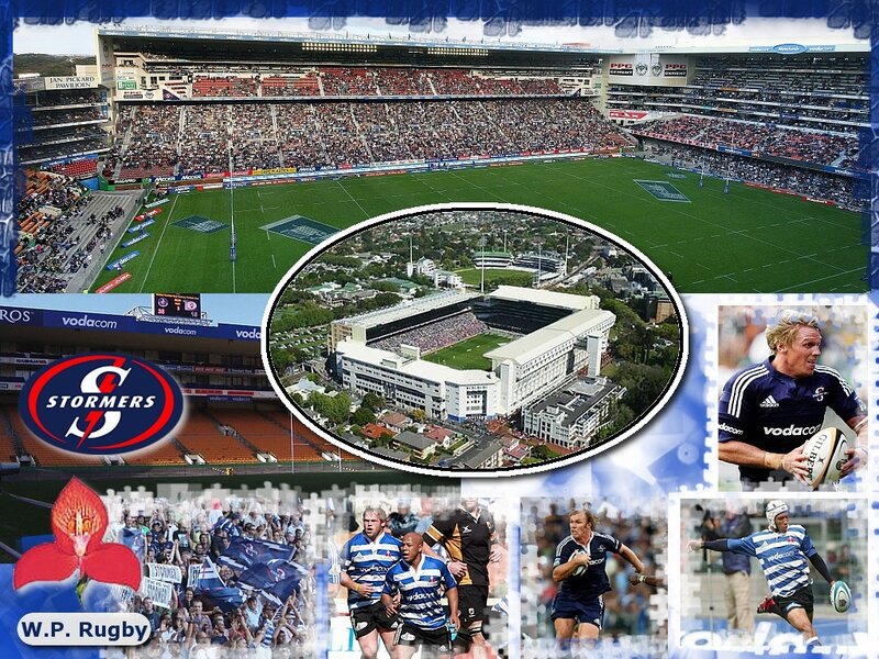 Stormers Rugby Collage