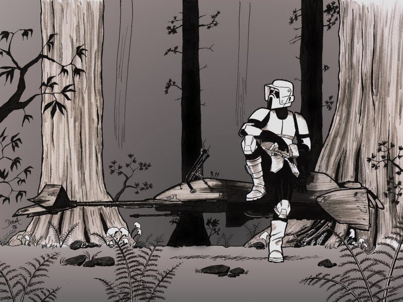Stormtrooper in Forest — Gray