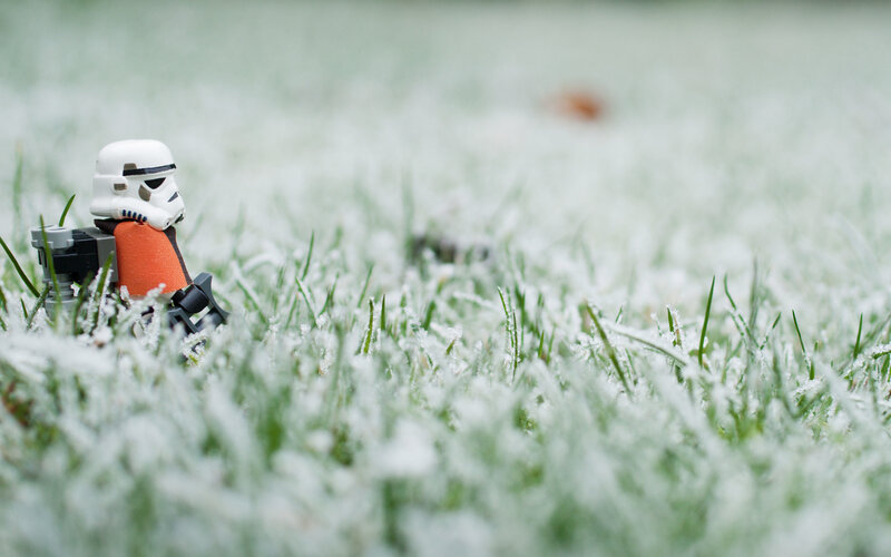 Stormtrooper in frosty grass