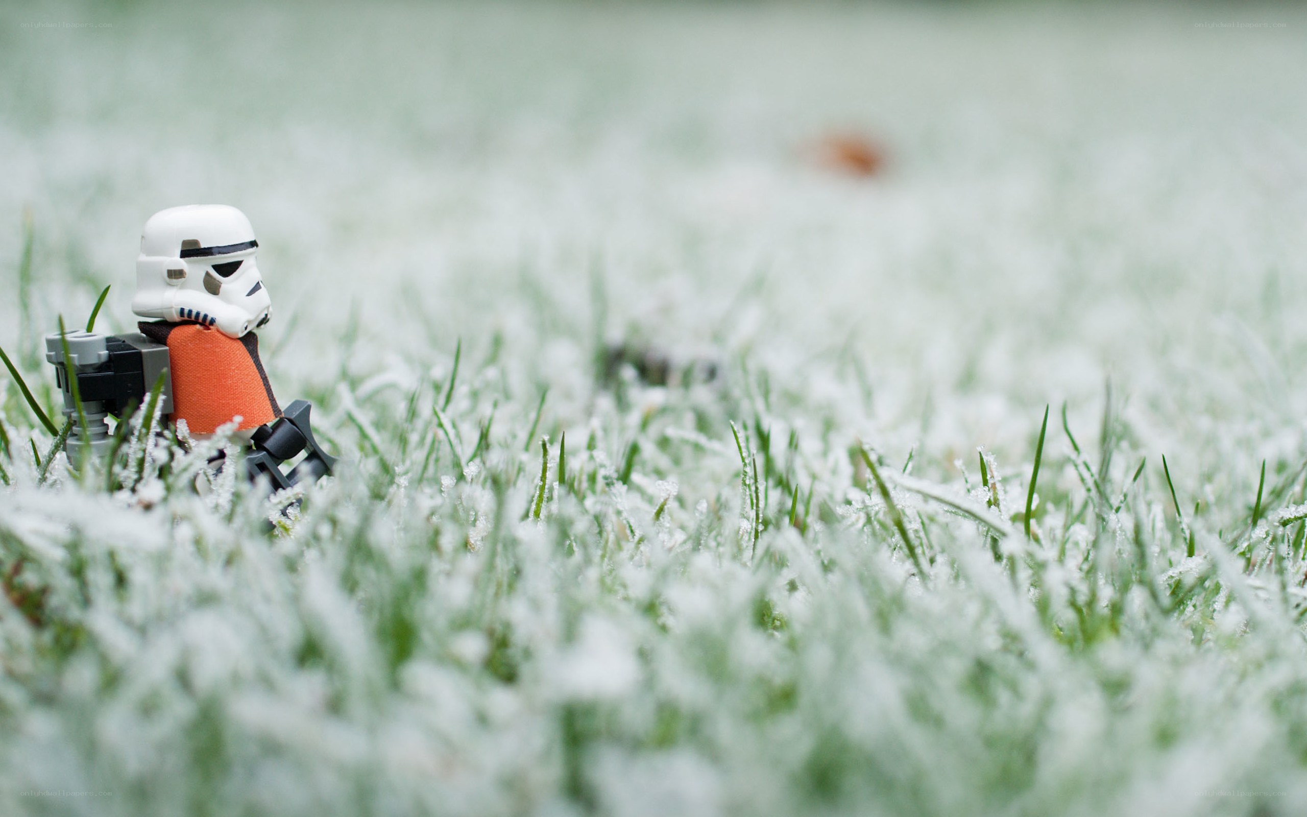 Stormtrooper in frosty grass