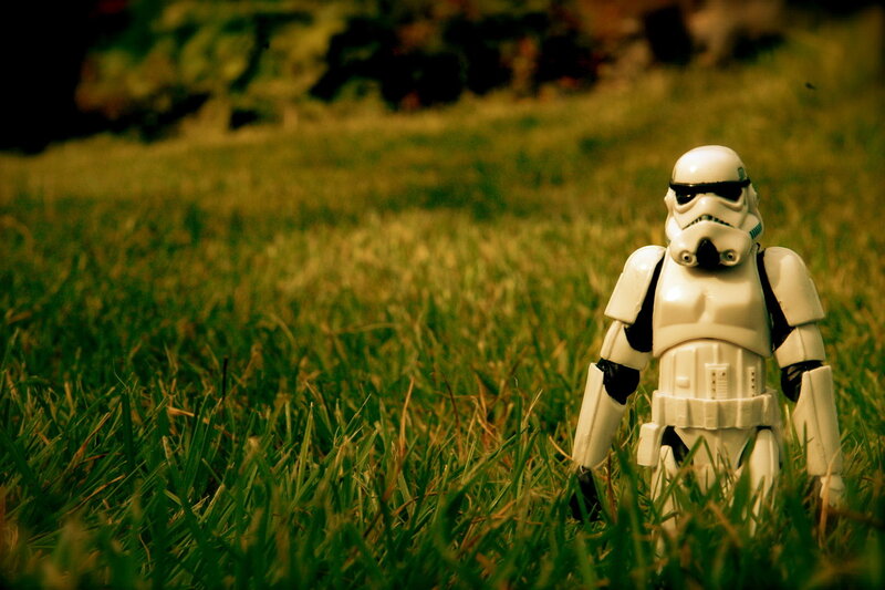 Stormtrooper in the grass