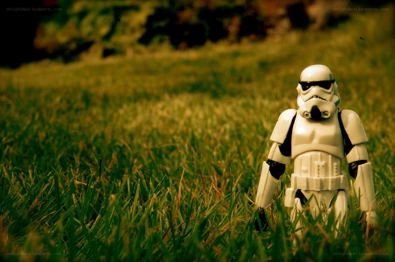 Stormtrooper in the grass