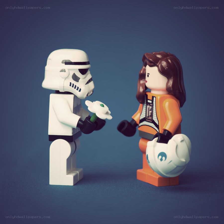 Stormtrooper offering flower