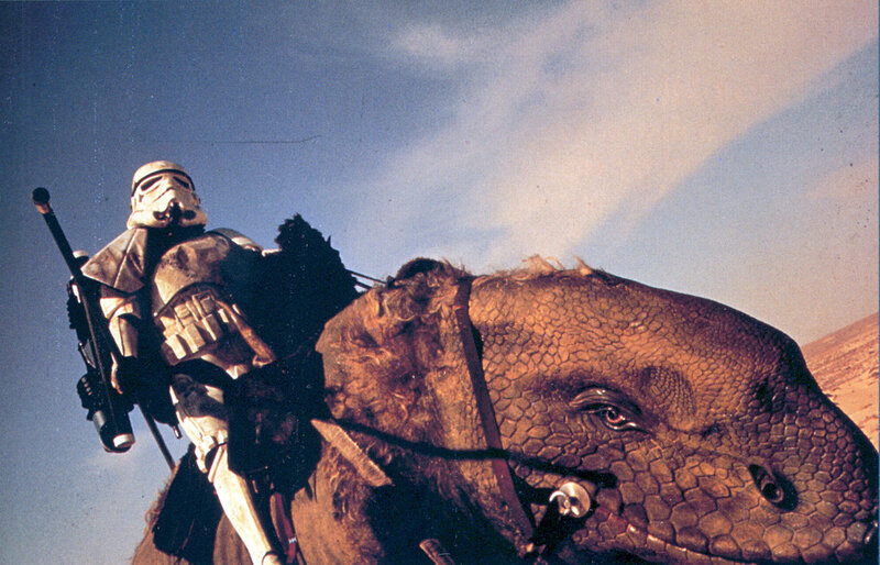 Stormtrooper on a dewback