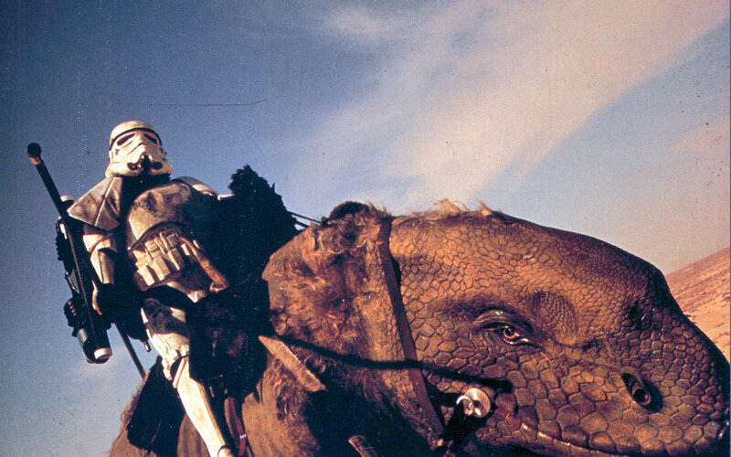 Stormtrooper on a dewback
