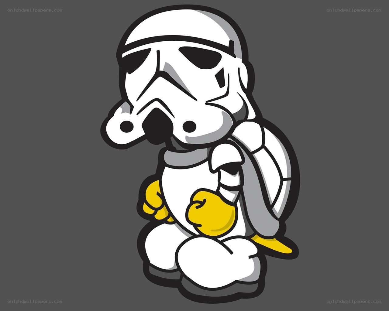 Stormtrooper turtle character