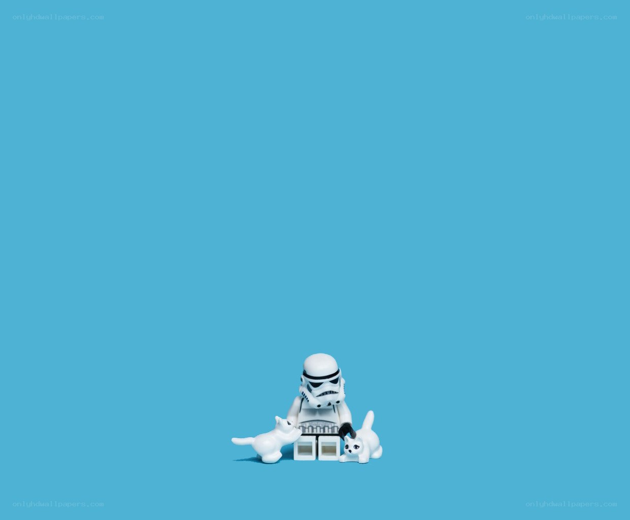 Stormtrooper with cats