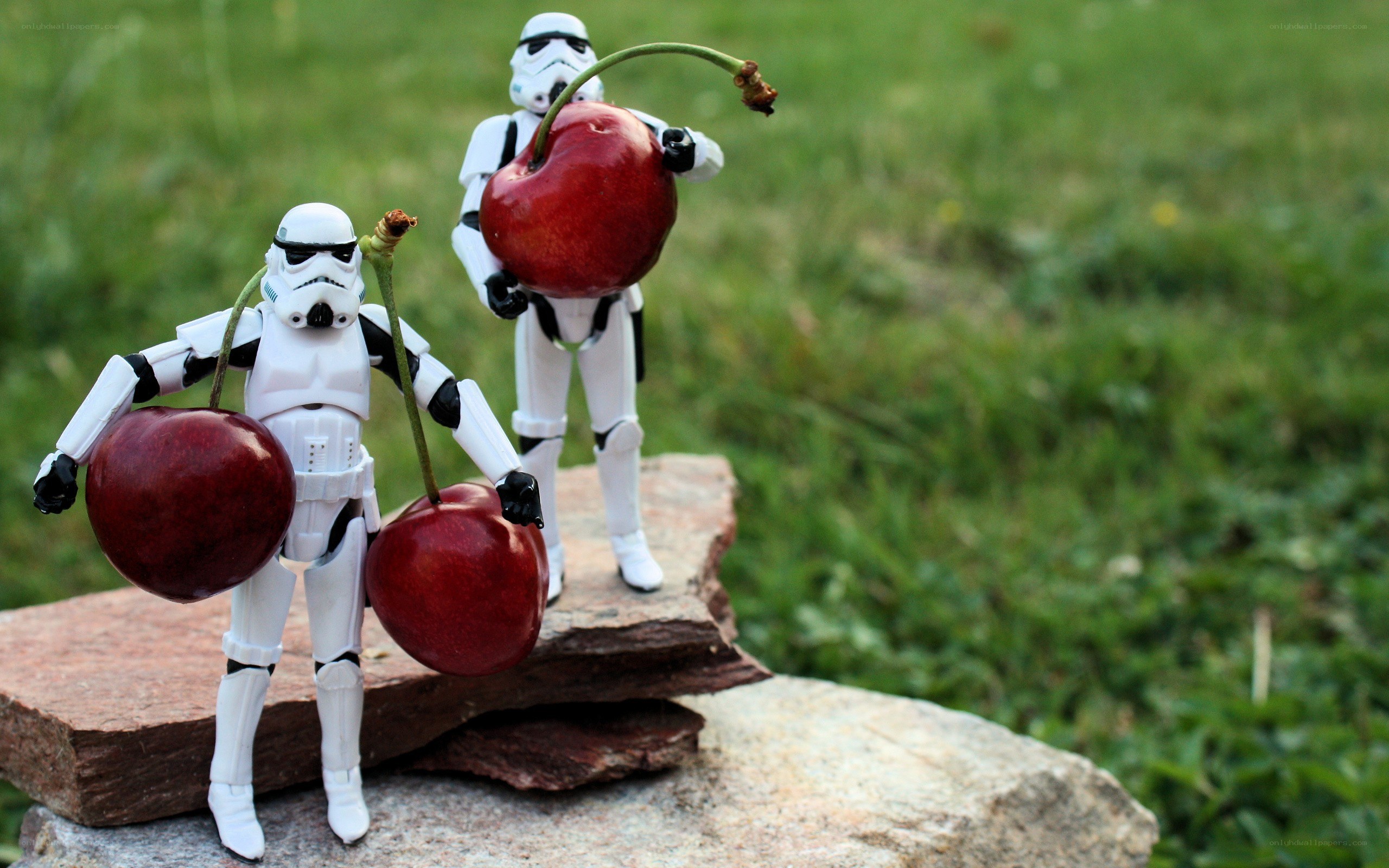 Stormtroopers holding cherries